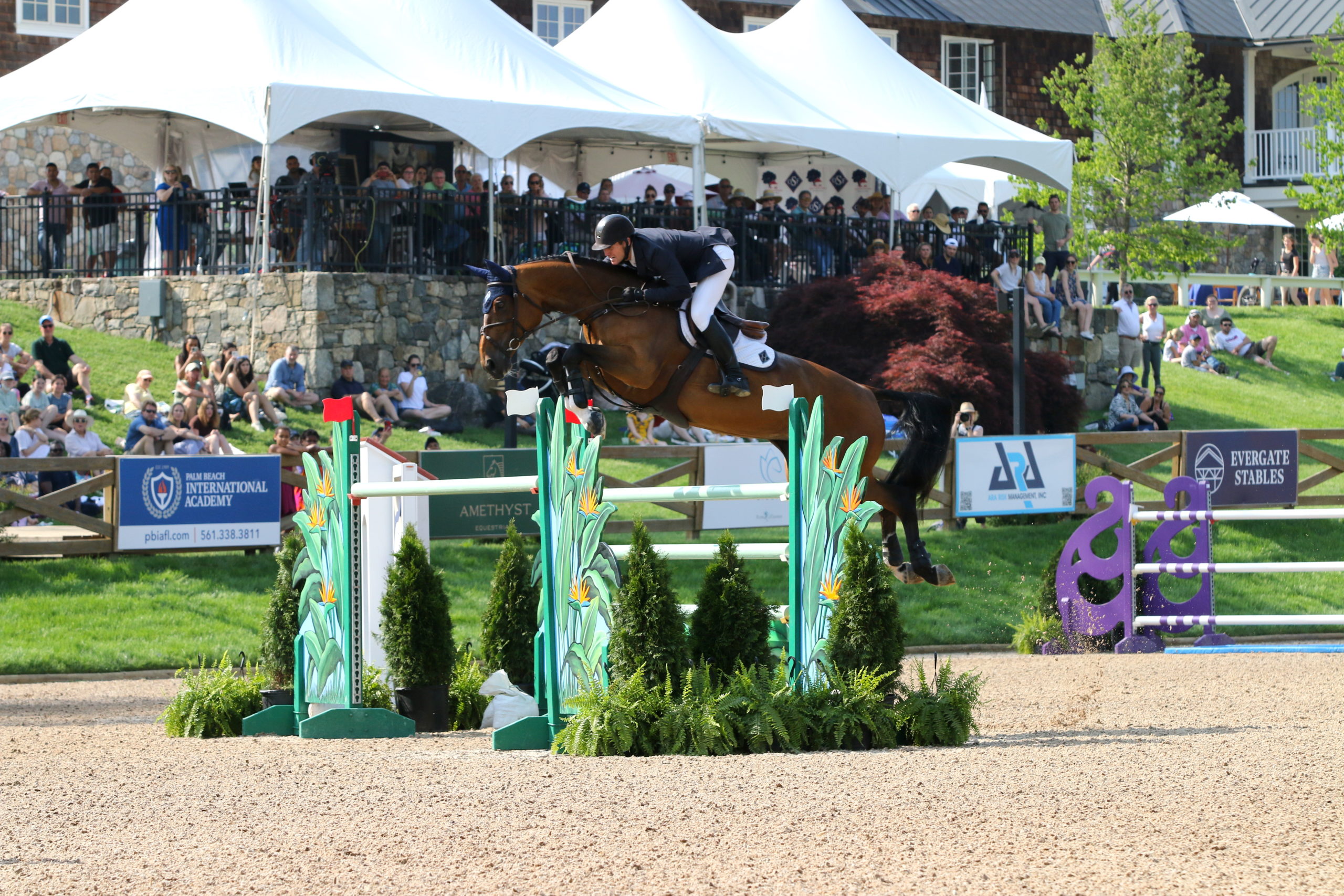 McLain Ward HH Azur $200,000 Empire State Grand Prix Old Salem Farm