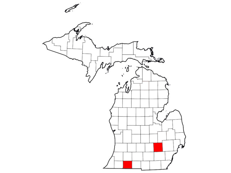 MICHIGAN_Livingston-StJoseph-Counties