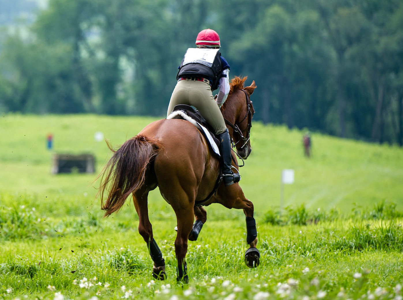 horse galloping across cross country field