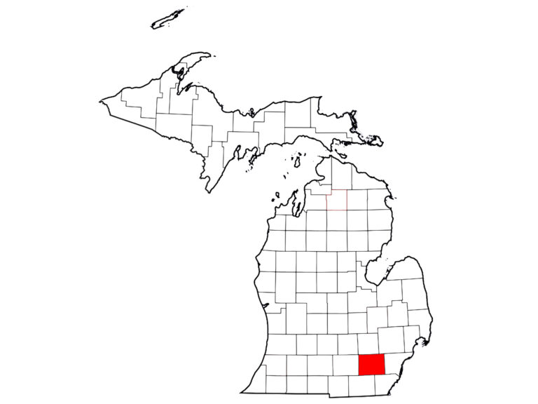 MICHIGAN_washtenawCo