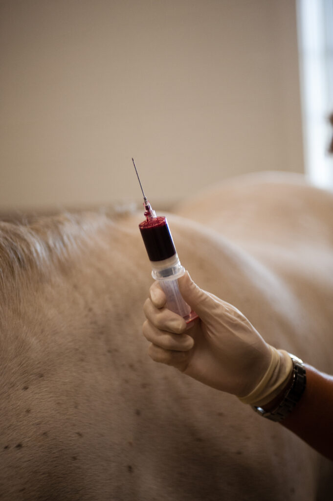 needle, blood