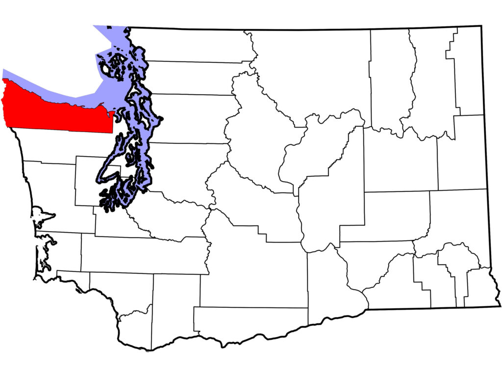 A horse in Clallam County, Washington, was confirmed positive for strangles after living in a stall next to another positive horse. 