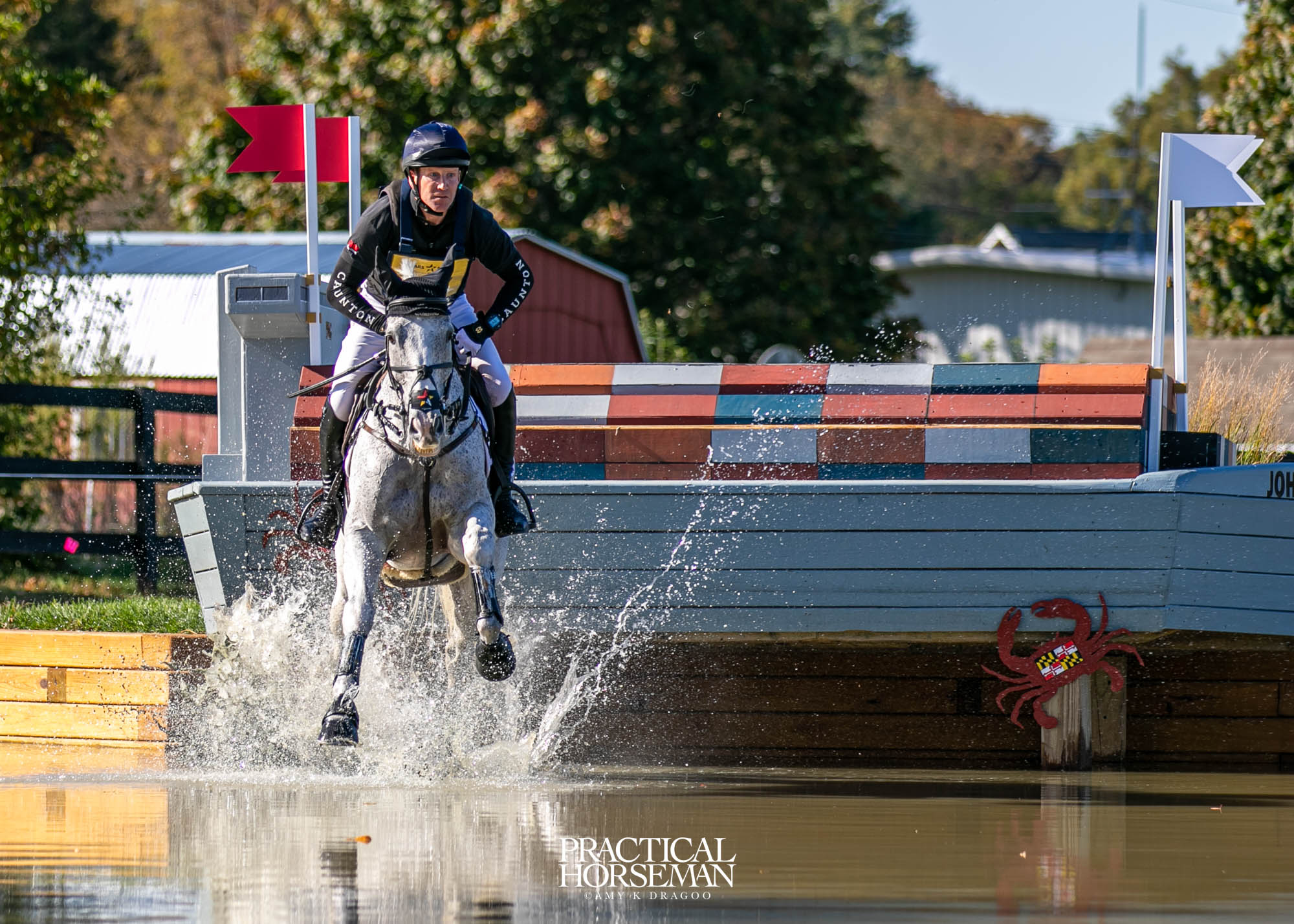 Oliver Townend