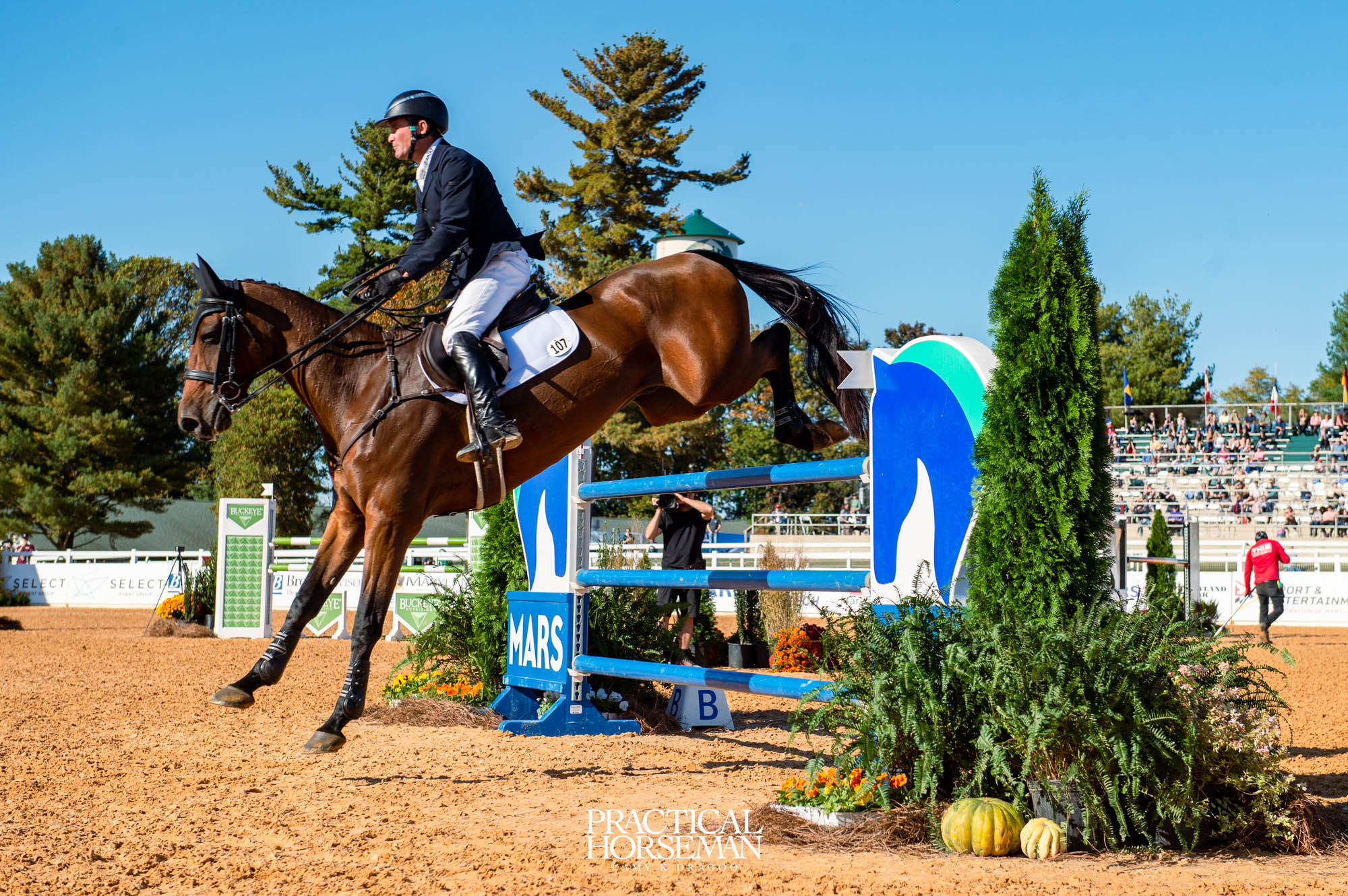 show jumping