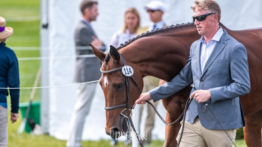 Maryland 5 Star First Horse Inspection