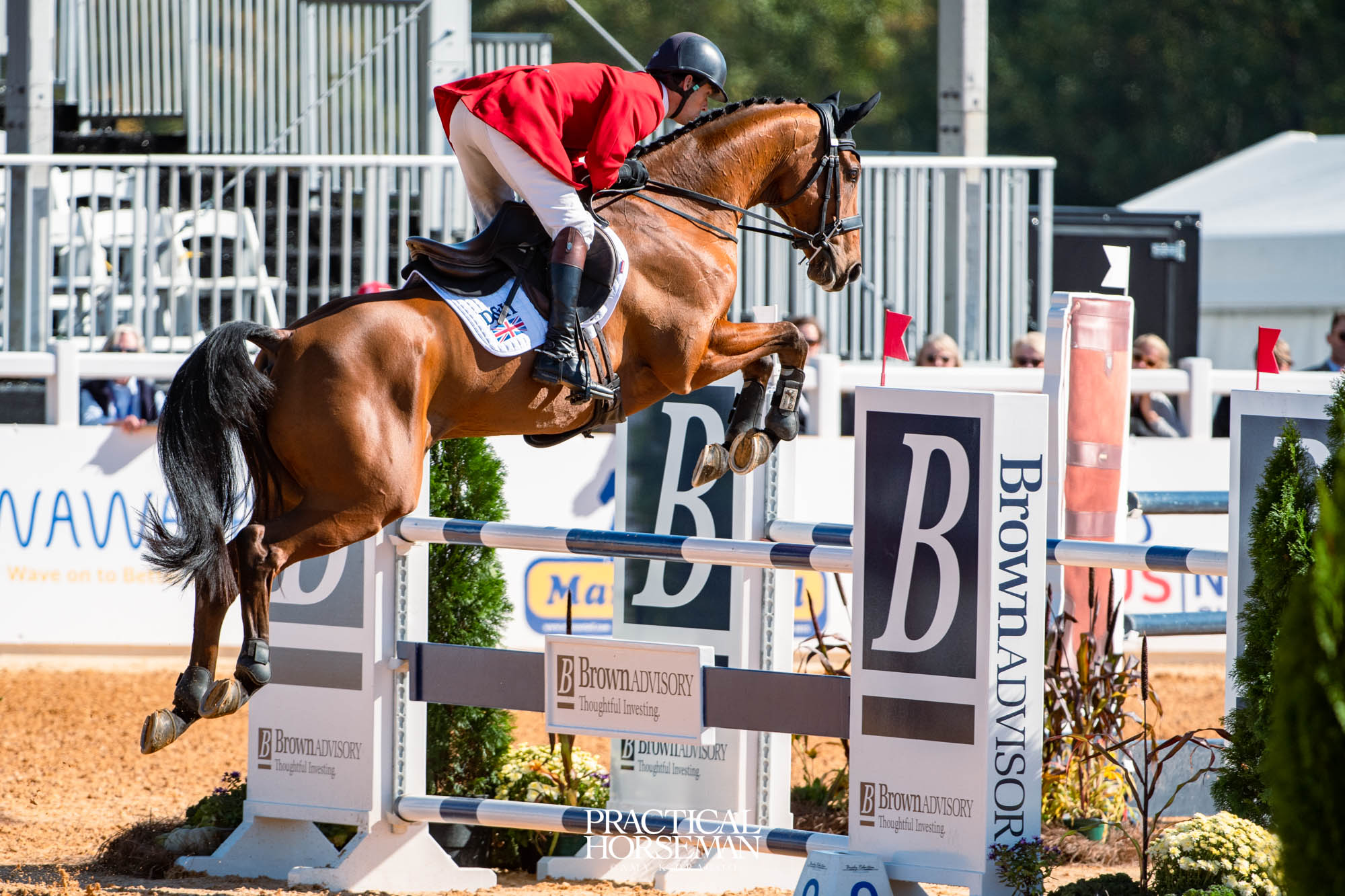 show jumping
