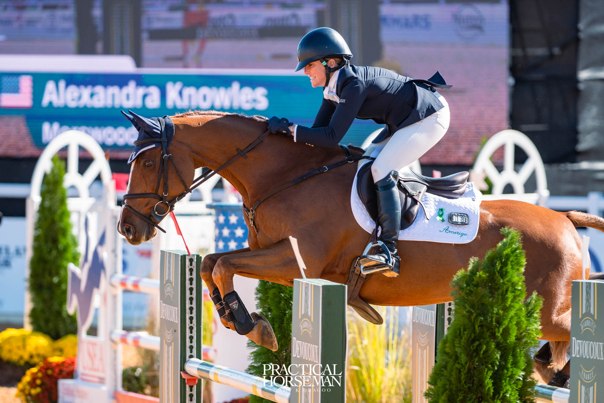 show jumping