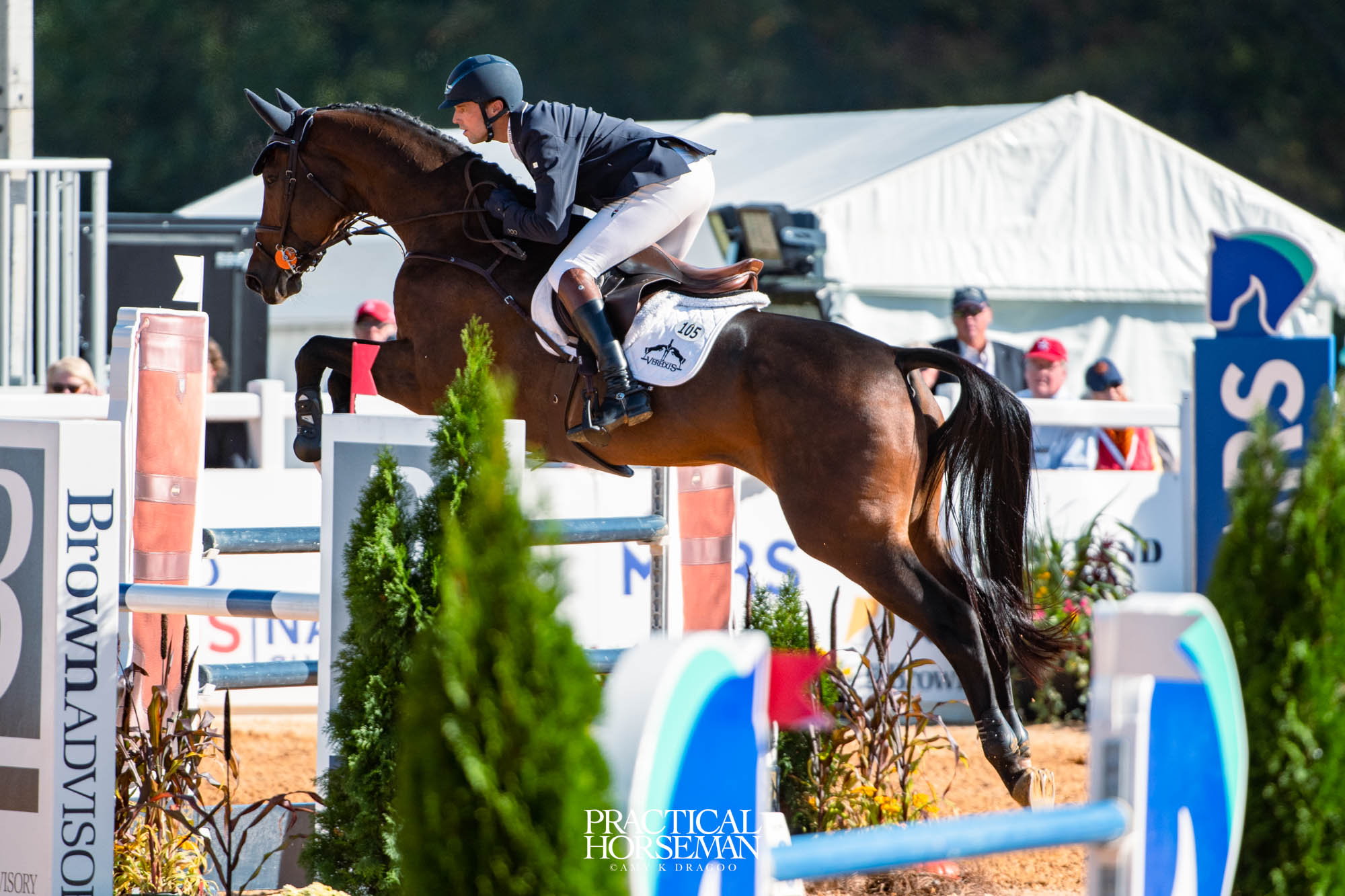 show jumping