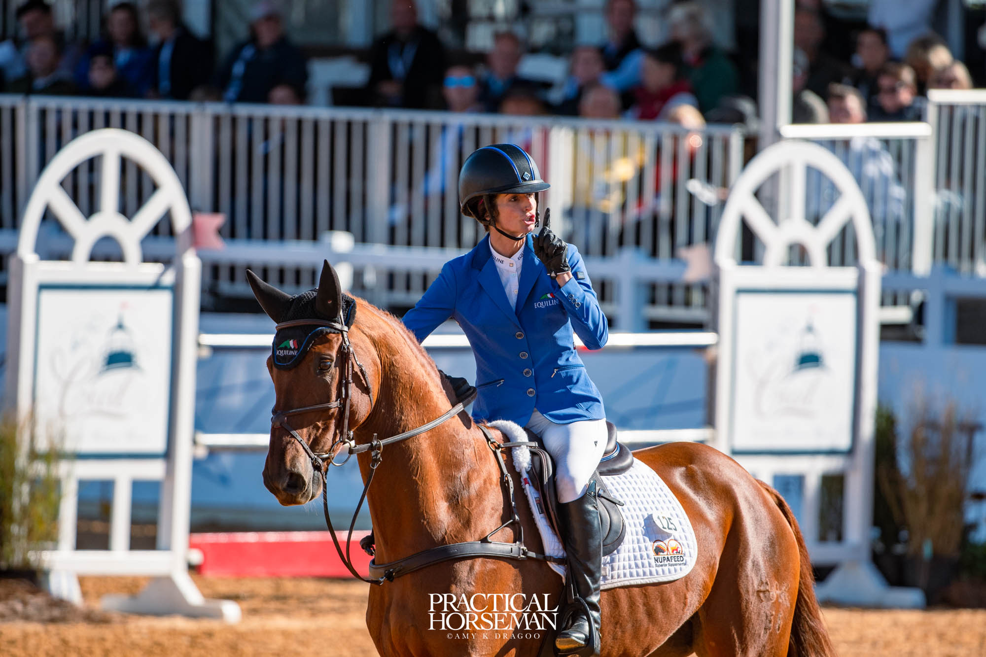 show jumping