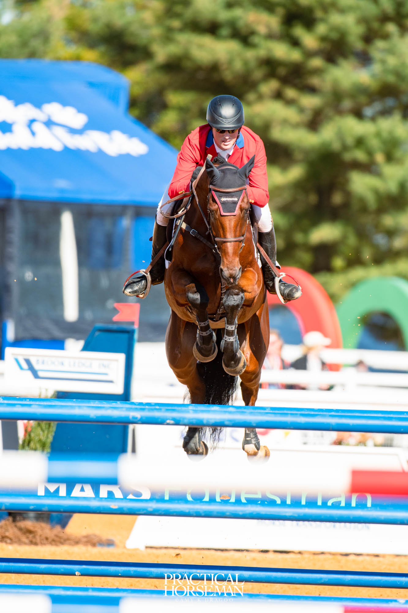 show jumping