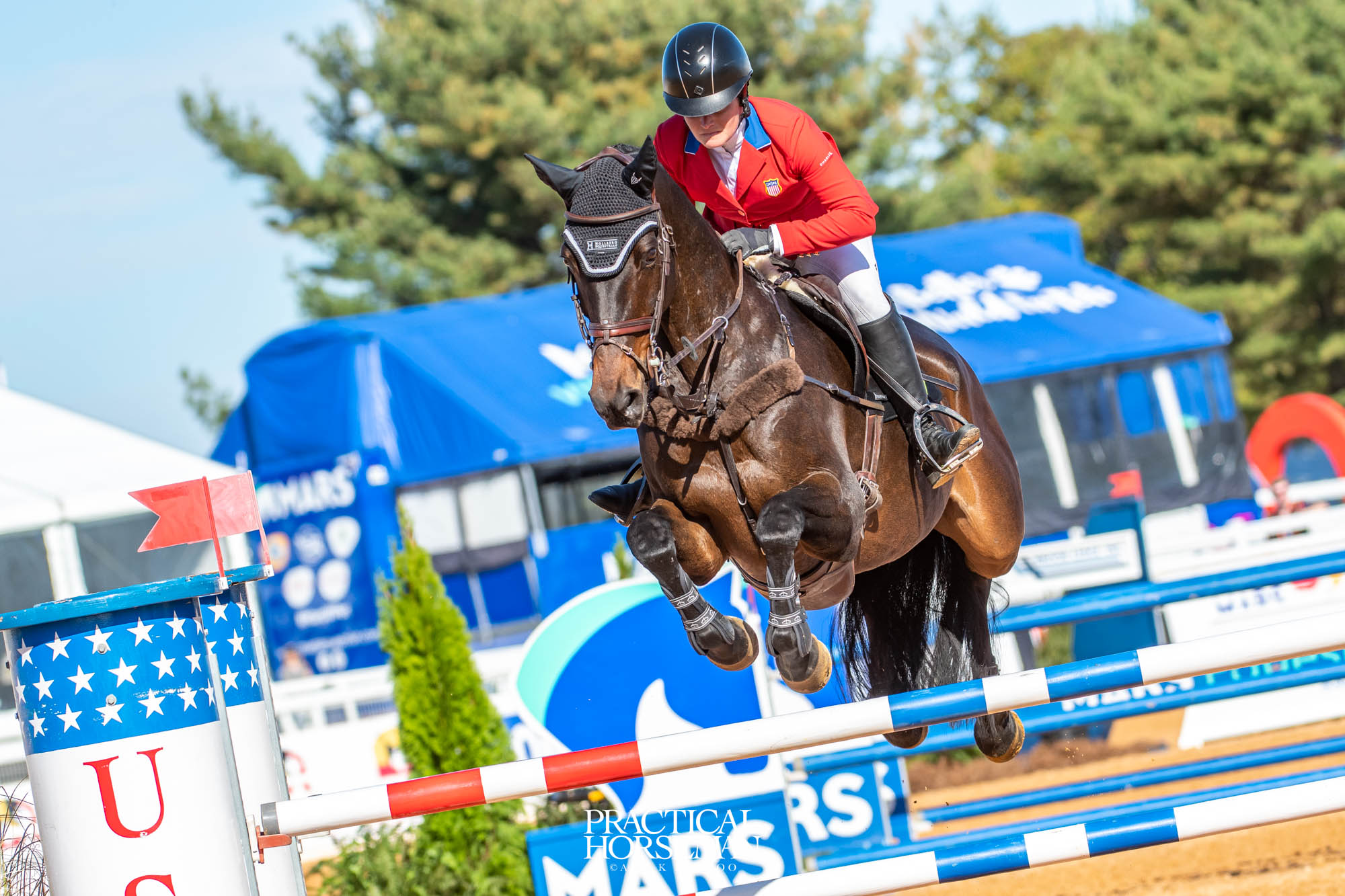 show jumping