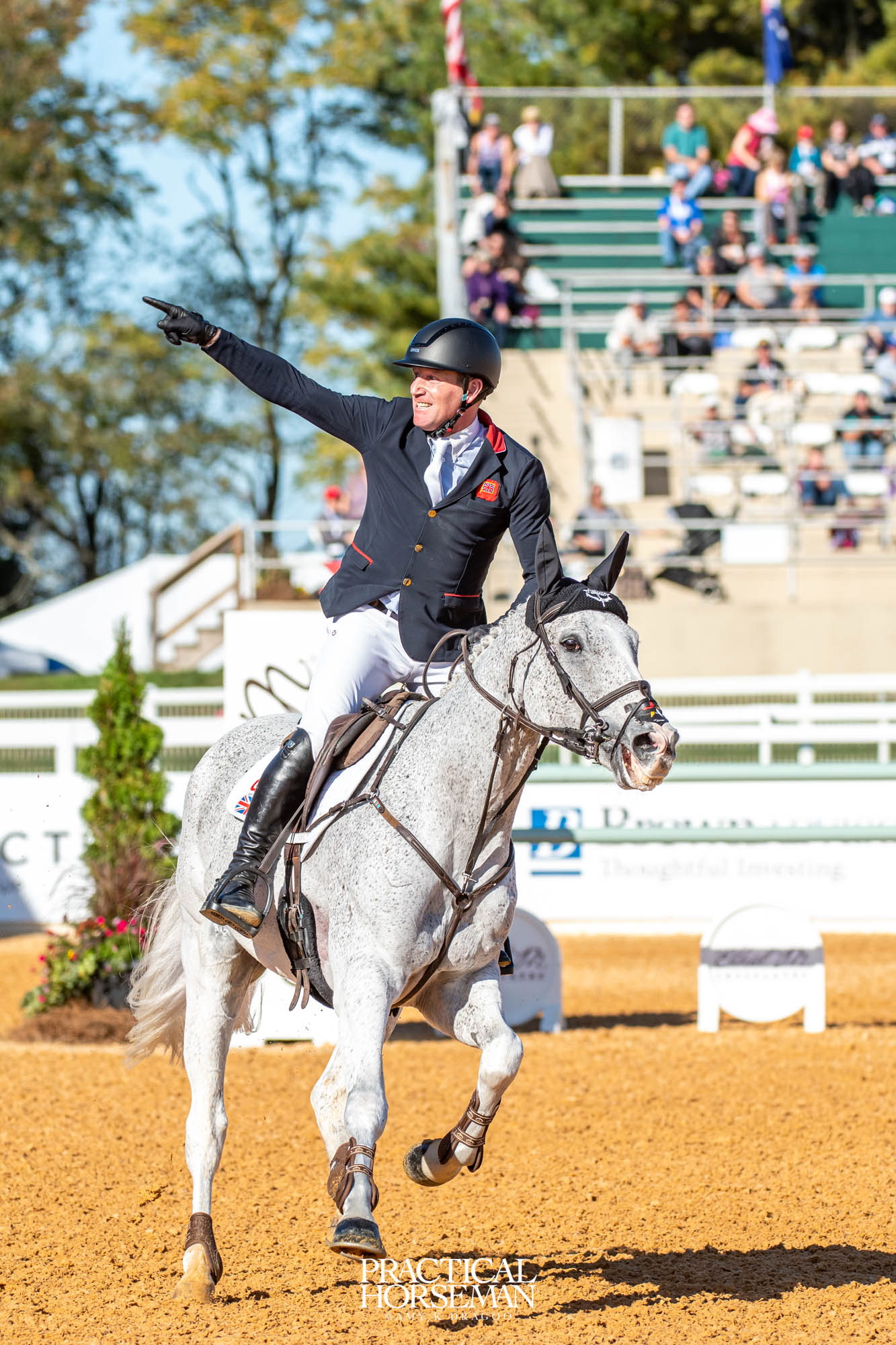 show jumping