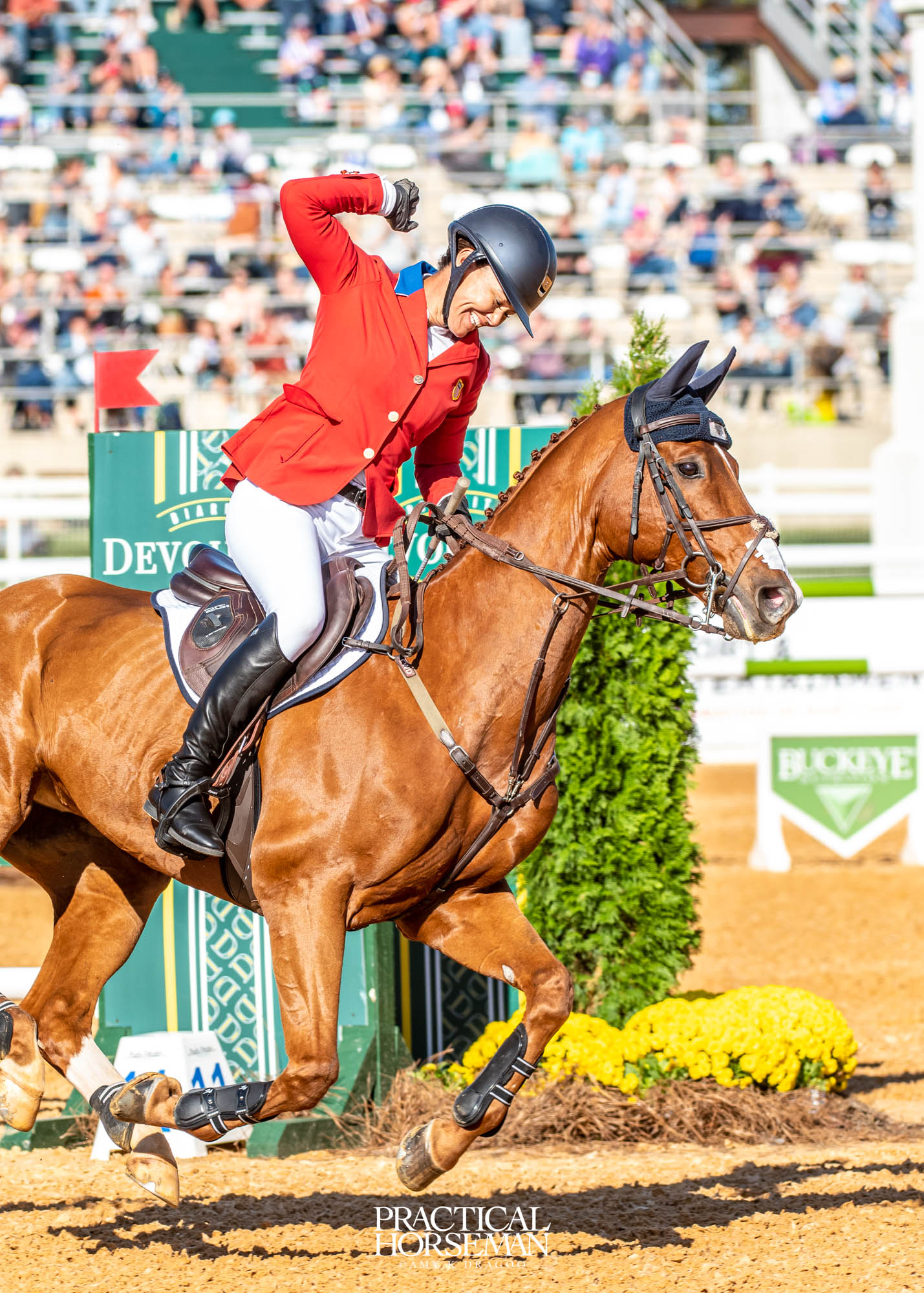 show jumping