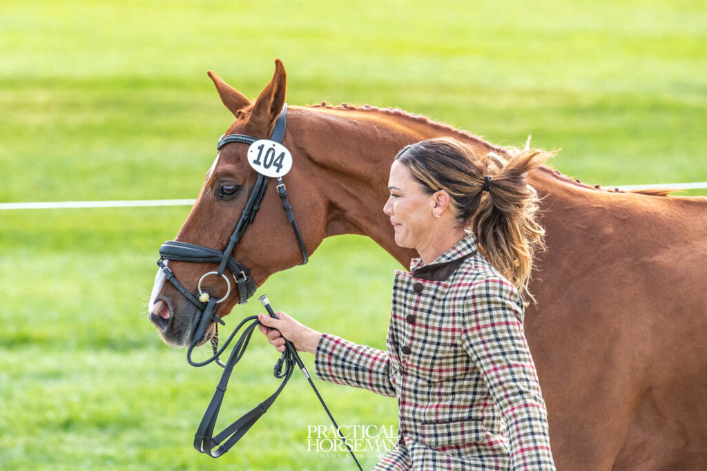 Maryland 5 Star First Horse Inspection