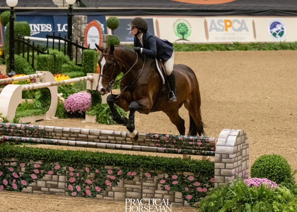 maclay