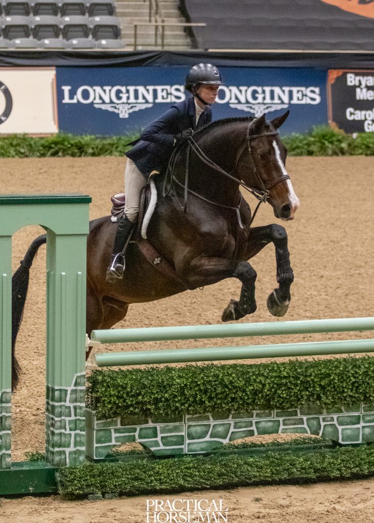 maclay
