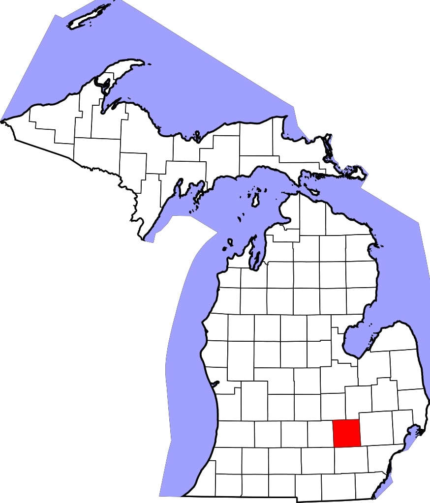 A pony in Livingston County, Michigan, who was recently purchased from another barn in the state, has tested positive for strangles.   