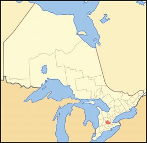 A gelding in the Region of Waterloo, Ontario, is positive for strangles, and two additional horses are exposed. 