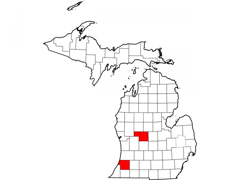 VanBurenMontcalm-MI