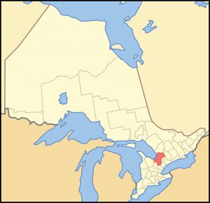 A gelding at a boarding facility in Simcoe County, Ontario, is positive for EHV-1 and is under quarantine. 