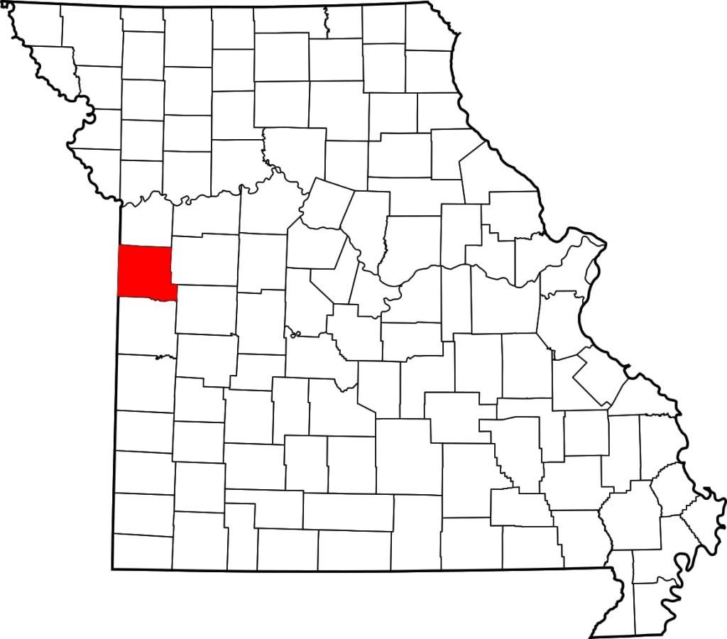 A Tennessee Walking Horse mare in Cass County, Missouri, was confirmed positive for strangles after being purchased from a sale barn.