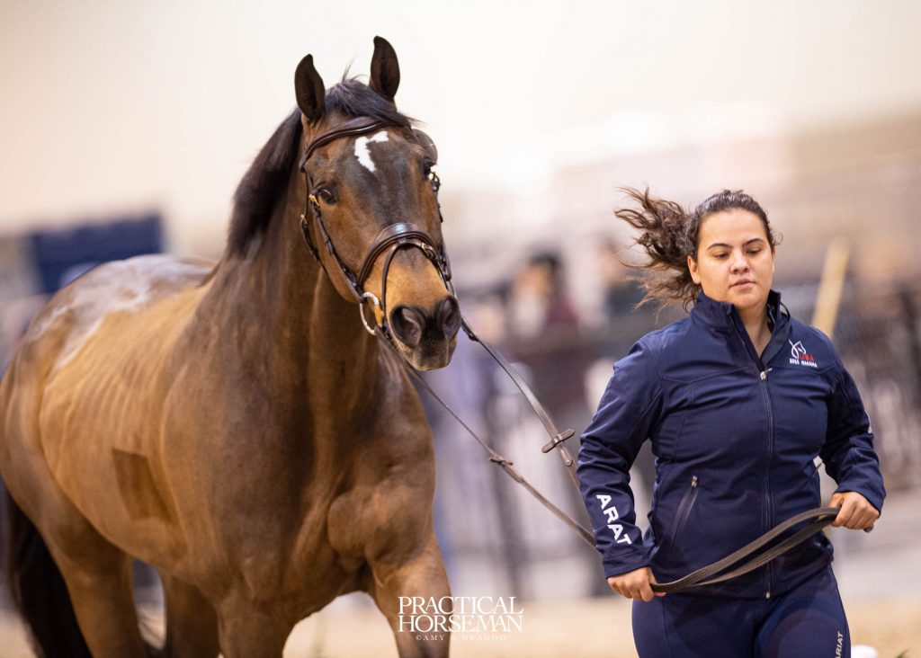 Jumping World Cup Final