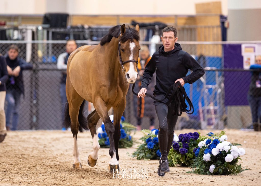 Jumping World Cup Final