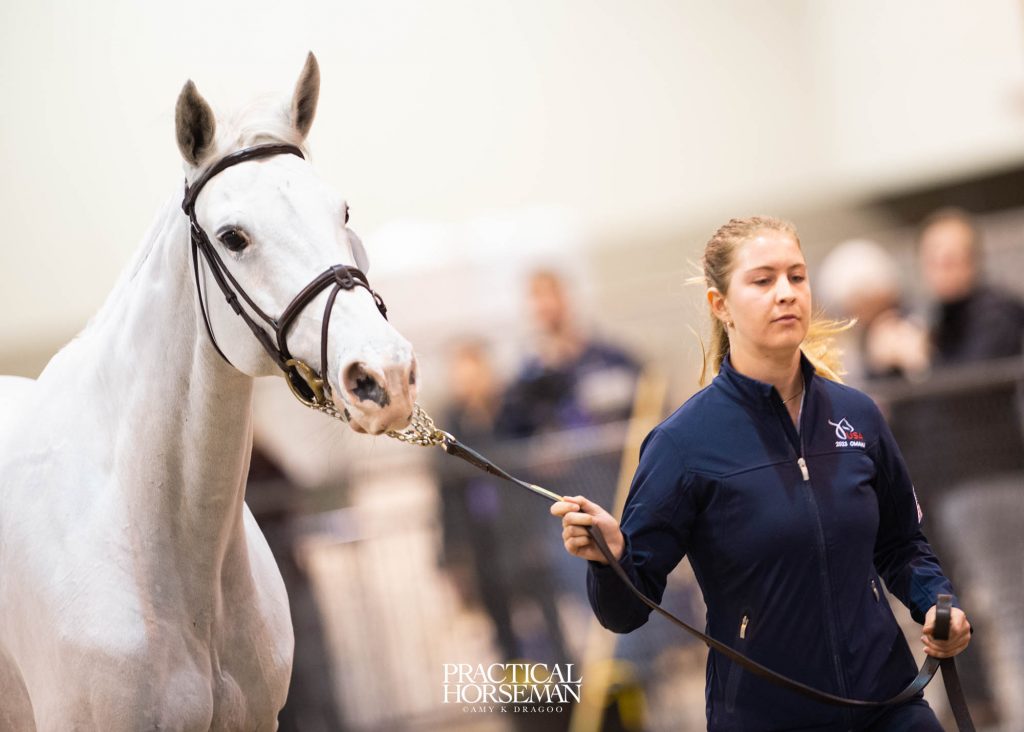 Jumping World Cup Final