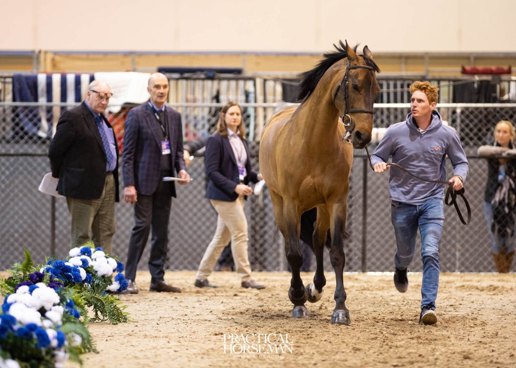 Jumping World Cup Final