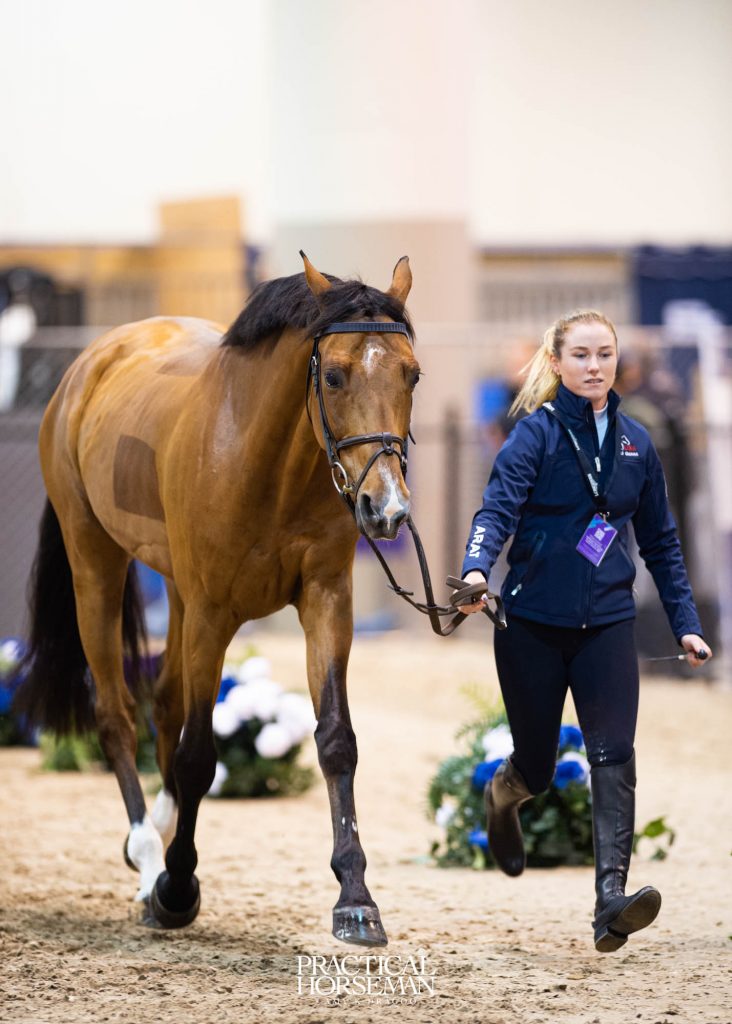 Jumping World Cup Final