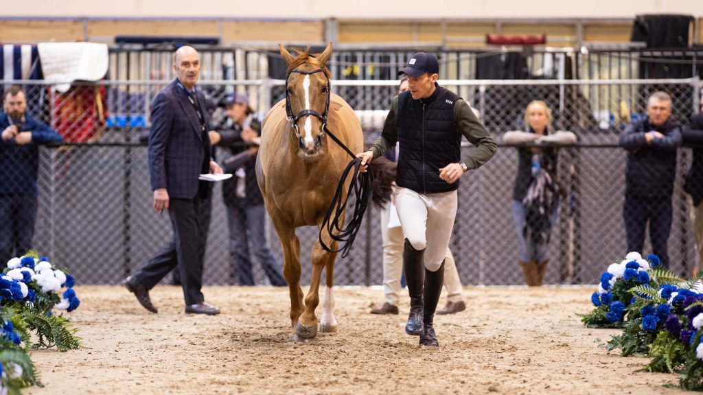 Jumping World Cup Final