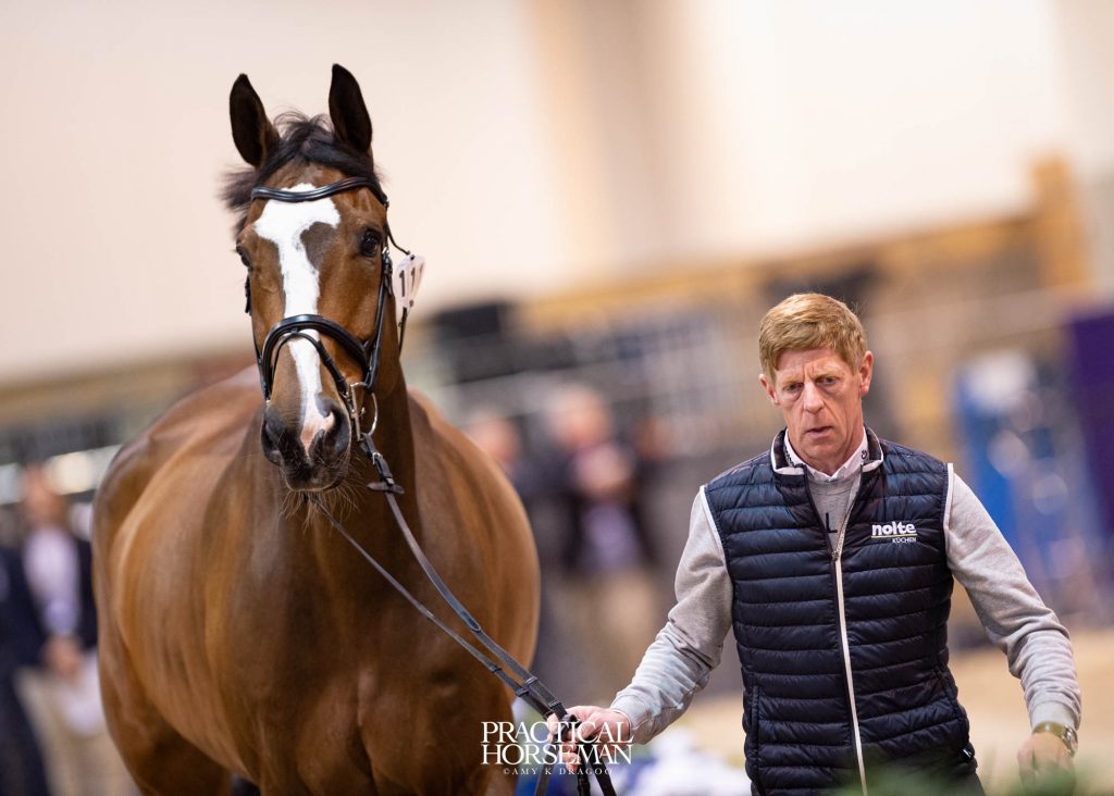 Jumping World Cup Final