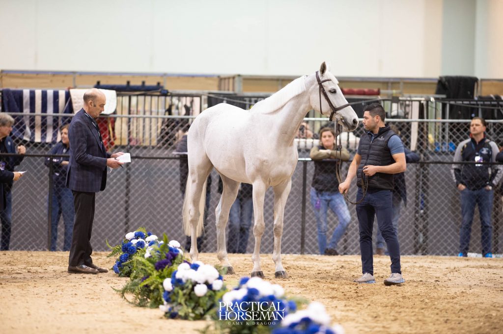 Jumping World Cup Final