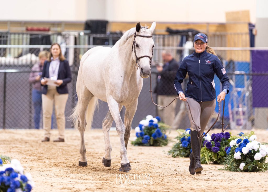 Jumping World Cup Final