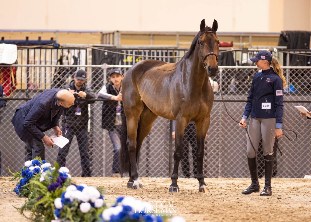 Jumping World Cup Final