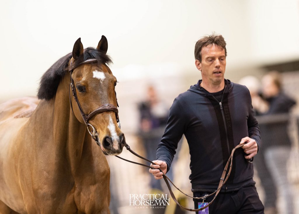Jumping World Cup Final