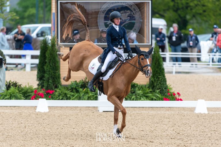 horses get kicks out