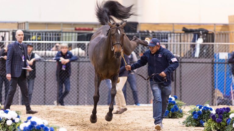 Jumping World Cup Final