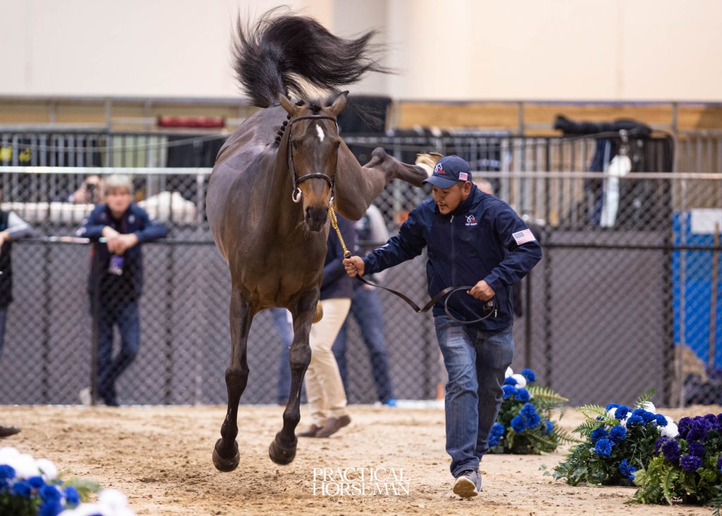 Jumping World Cup Final