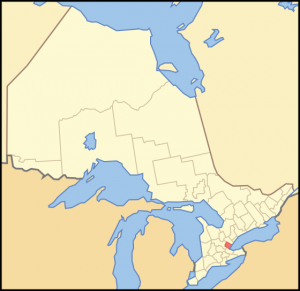 A Thoroughbred gelding in Halton Region, Ontario, is positive for strangles, and five horses at the boarding facility are exposed.