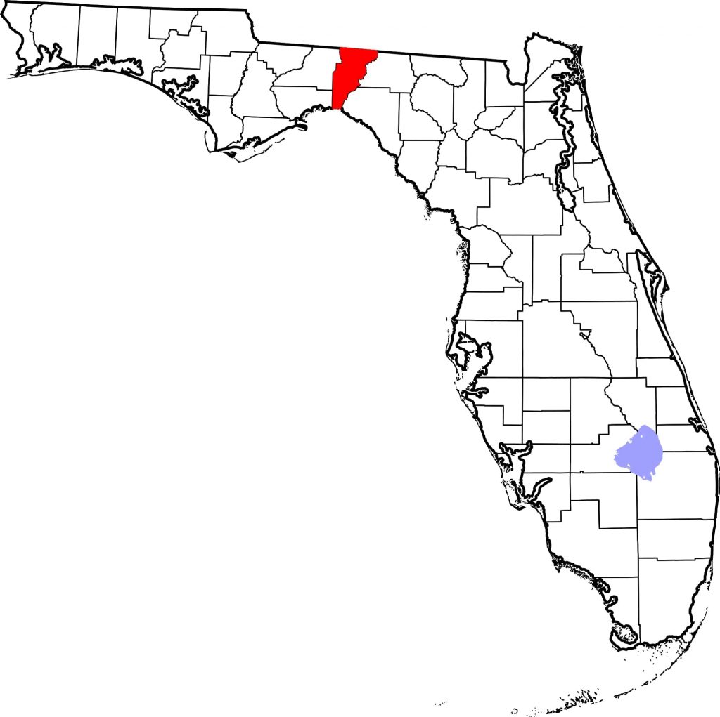 An unvaccinated miniature horse in Jefferson County, Florida, was euthanized after contracting Eastern equine encephalitis (EEE).