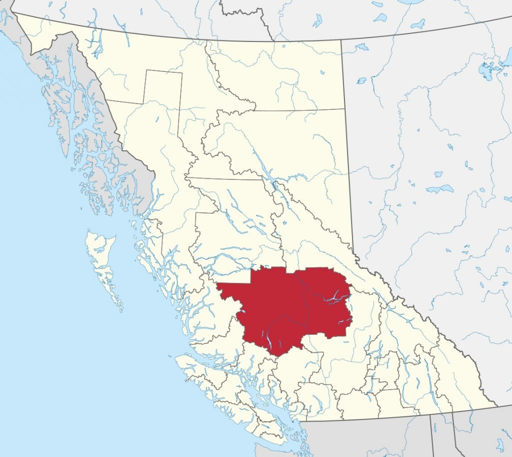 A horse in Cariboo, British Columbia, is positive for equine infectious anemia (EIA), and an epidemiological investigation is underway. 
