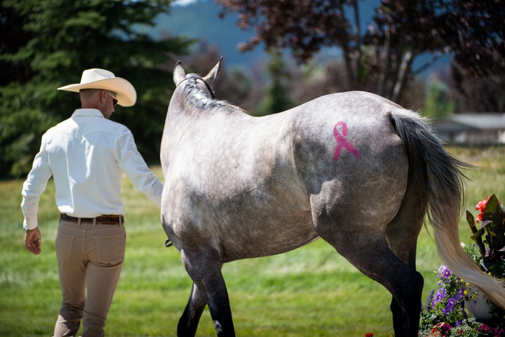 The Event at Rebecca Farm in Kalispell, Montana