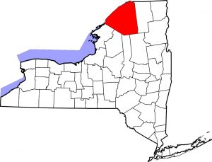 A 4-year-old gelding in St. Lawrence County, New York, was euthanized after developing severe clinical signs from EEE.