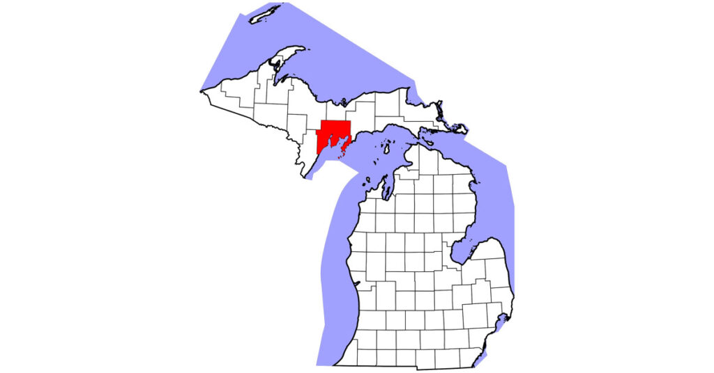 A Thoroughbred gelding in Delta County, Michigan, was confirmed positive for strangles and is now recovering.