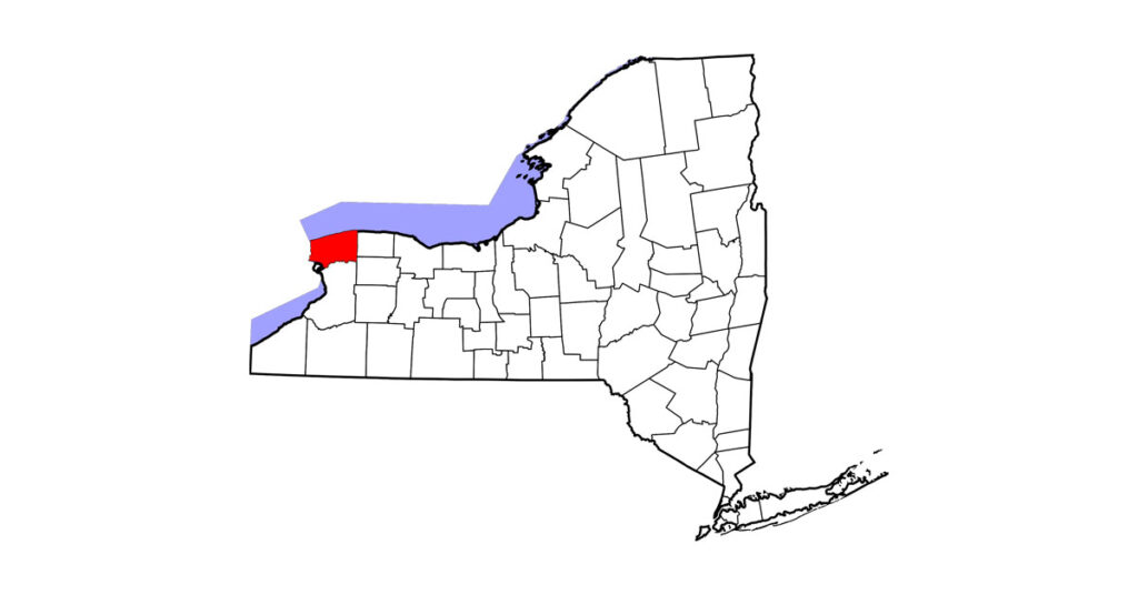 An unvaccinated horse in Niagara County, New York, was euthanized after contracting West Nile virus (WNV). 