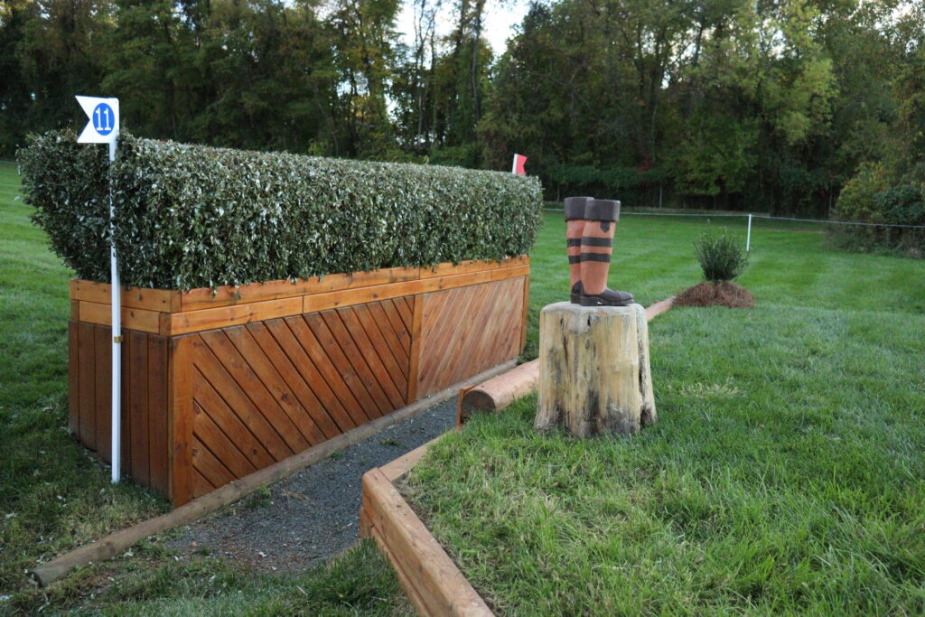 Fence 11