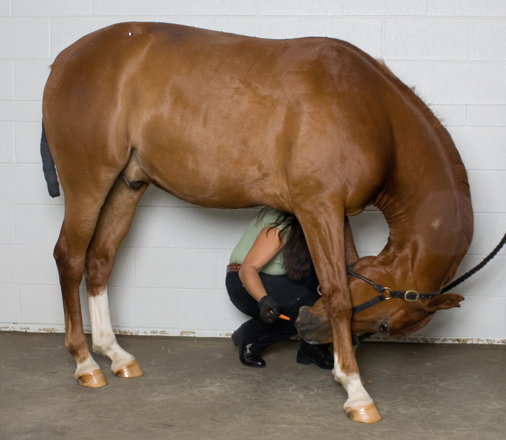 conditioning