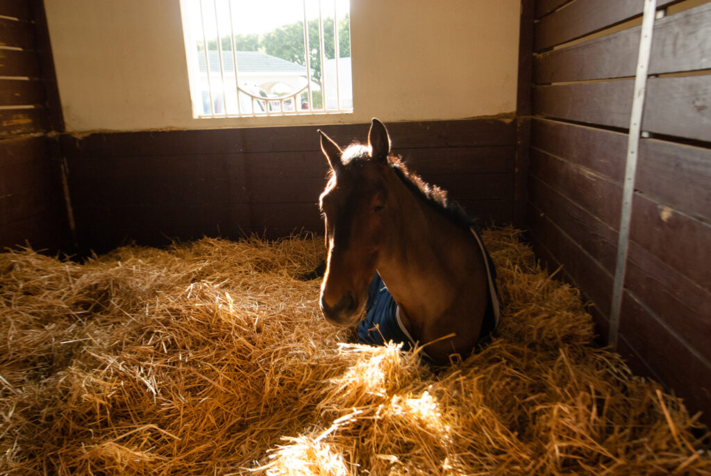 stall rest