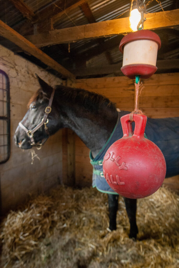 stall rest